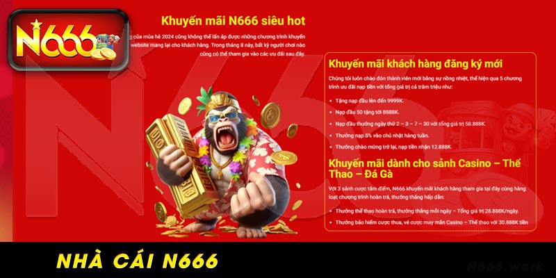 Lý do bạn nên chọn N666