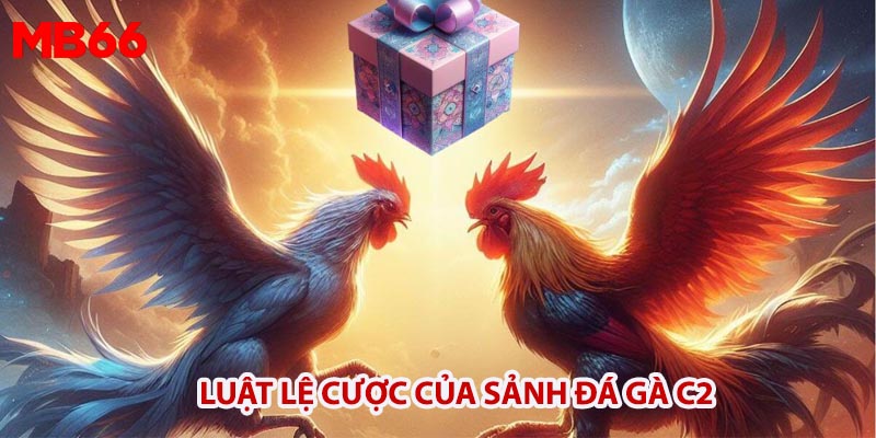 Luật lệ cược của sảnh đá gà C2